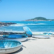 Một chuyến du lịch trên cả tuyệt vời!